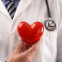 doctor holding a fake heart